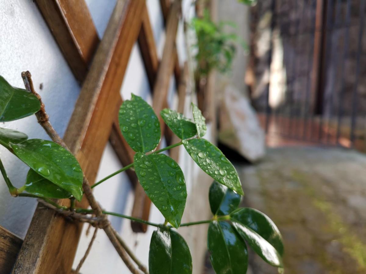 O Refugio - Espaco Natural, Amplo E Privado أنغرا دو إِراويزو المظهر الخارجي الصورة